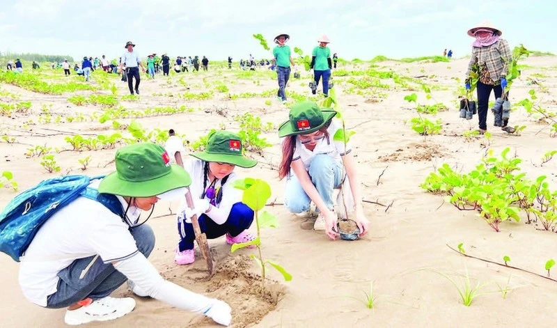 Des touristes plantent des arbres dans la zone côtière de la commune de Thanh Phong (district de Thanh Phu, province de Bên Tre). Photo : NDEL