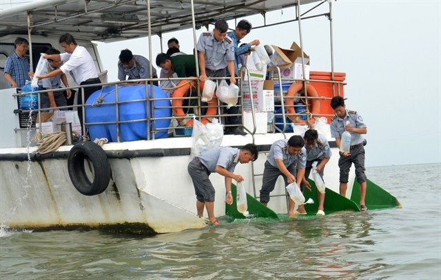 Les autorités de la province de Kiên Giang relâchent des crevettes et des crabes juvéniles au port de pêche de Xeo Nhau, dans le district d'An Minh, le 1er avril. Photo: VNA