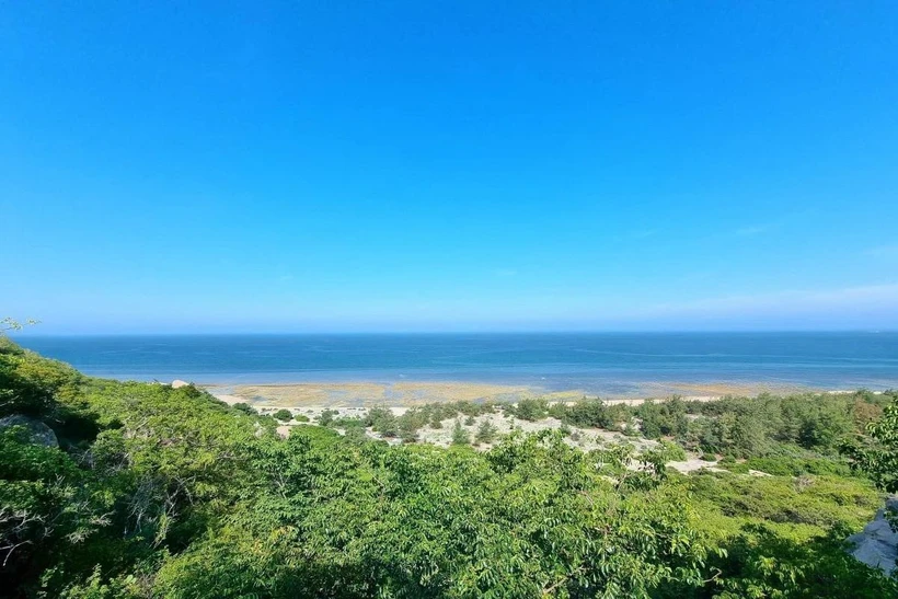 Parc national de Nui Chua dans la province de Ninh Thuân, au Centre-Sud. Photo : VNA