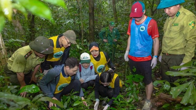Des visiteurs participent au circuit « Retour à la maison » au parc national de Cuc Phuong. Photo : NDEL