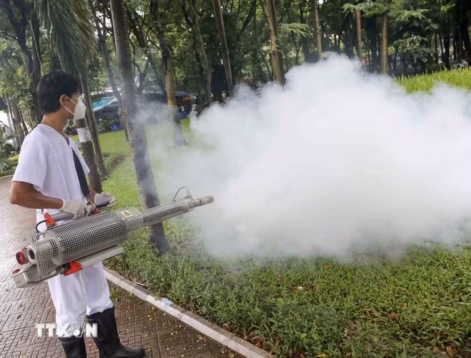 Un agent pulvérise un insectifuge pour éliminer les moustiques et prévenir les maladies saisonnières. Photo : VNA