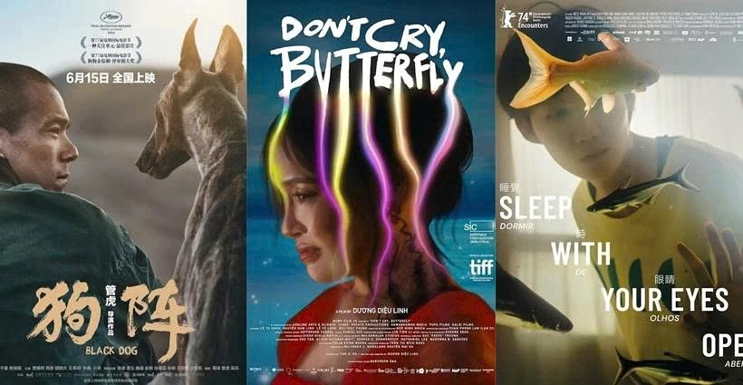 "Black Dog", "Don't Cry, butterfly" et "Sleep with Your Eyes Open" seront projetés au troisième Festival du film asiatique de Dà Nang - DANAFF 2025. Photo : VNA
