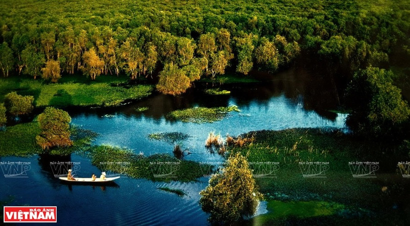 Les écosystèmes du parc national d’U Minh Thuong sont variés. Photo: VNP