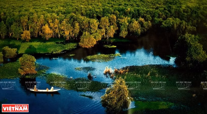 Les écosystèmes du parc national d’U Minh Thuong sont variés. Photo: VNP
