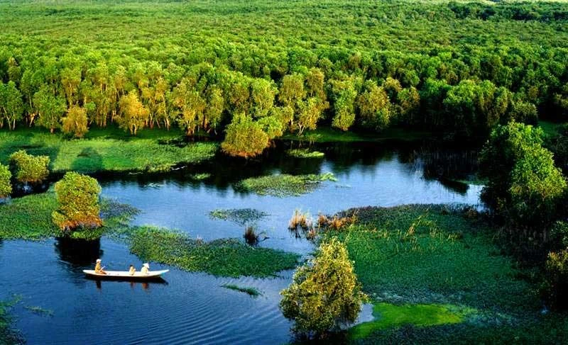 Vue aérienne de la forêt d’U Minh Ha. Photo : diadiemdulichvn