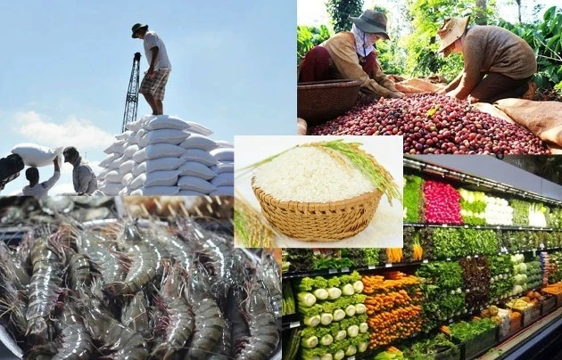 Le Vietnam et l'Allemagne constatent une forte complémentarité commerciale. Photo: moit.gov.vn