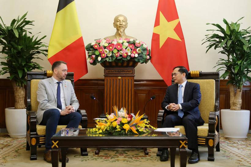 Le vice-Premier ministre et ministre des Affaires étrangères, Bui Thanh Son (à droite) et le vice-Premier ministre belge et ministre des Affaires étrangères, des Affaires européennes et de la Coopération au développement, Maxime Prévot, à Hanoi, le 31 mars. Photo: VNA