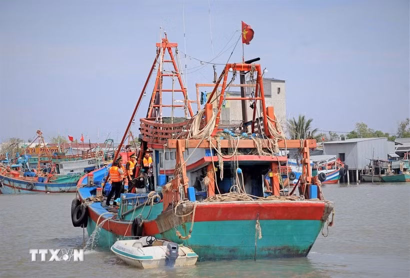 Des bateaux de pêche. Photo d'illustration: VNA