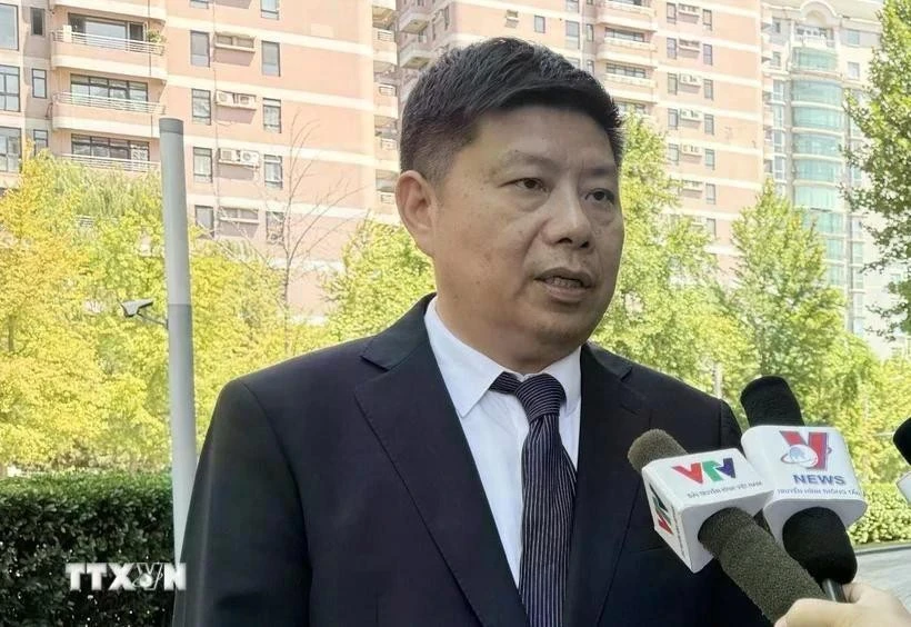 Le professeur Xu Liping, directeur du Centre d’études de l’Asie du Sud-Est de l’Académie chinoise des sciences sociales (CASS). Photo: VNA