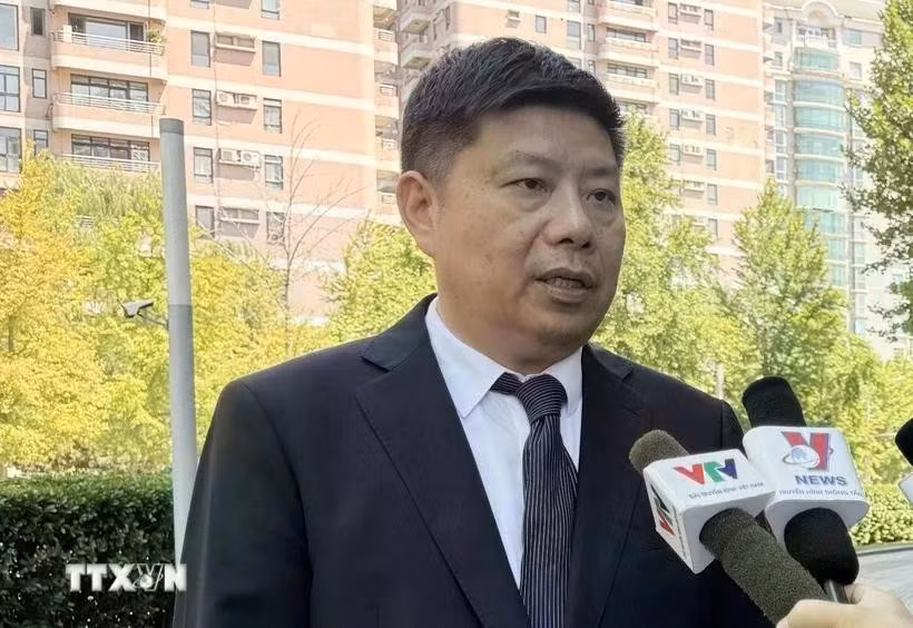 Le professeur Xu Liping, directeur du Centre d’études de l’Asie du Sud-Est de l’Académie chinoise des sciences sociales (CASS). Photo: VNA
