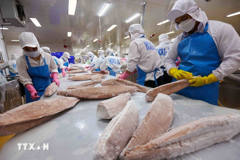  Transformation du thon pour l'exportation. Photo: VNA