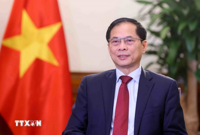 Le vice-Premier ministre et ministre des Affaires étrangèrs Bui Thanh Son. Photo : VNA