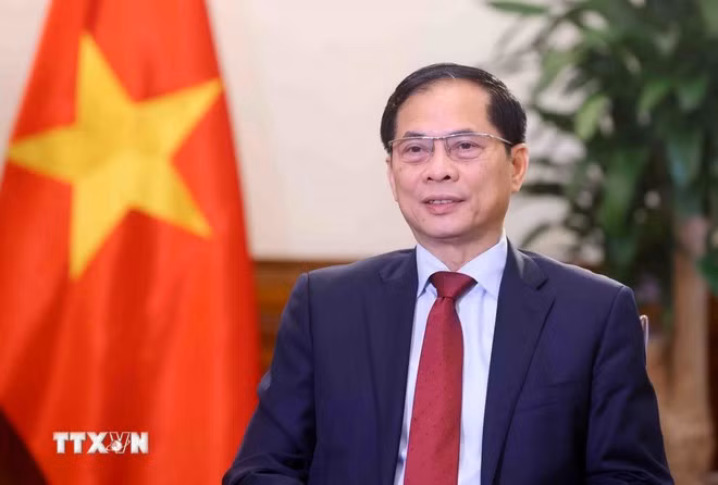 Le vice-Premier ministre et ministre des Affaires étrangèrs Bui Thanh Son. Photo : VNA