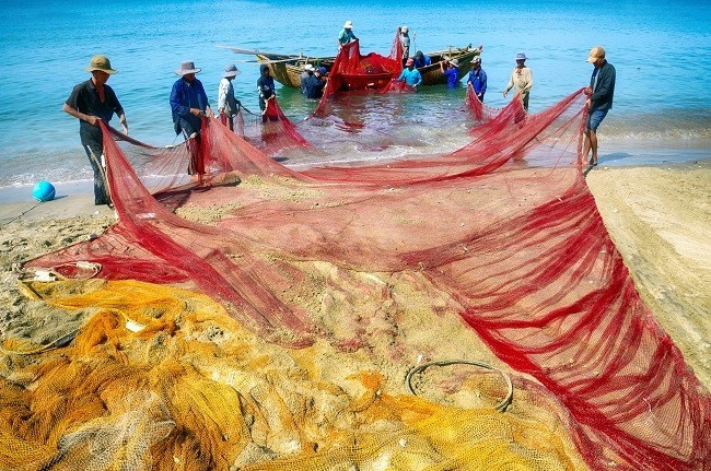 "Minh Thu, 2014". Photo : Marie José Tack (France)