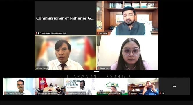 Le conseiller commercial Bui Trung Thuong s'exprime lors du webinaire, le 28 mai 2025. Photo: VNA