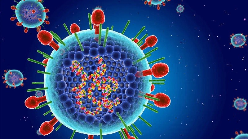 Le virus respiratoire syncytial (VRS) est la cause la plus courante des infections des voies respiratoires inférieures, responsable des éclosions annuelles qui commencent à la fin de l’automne jusqu’au début du printemps. Photo: medlatec.vn