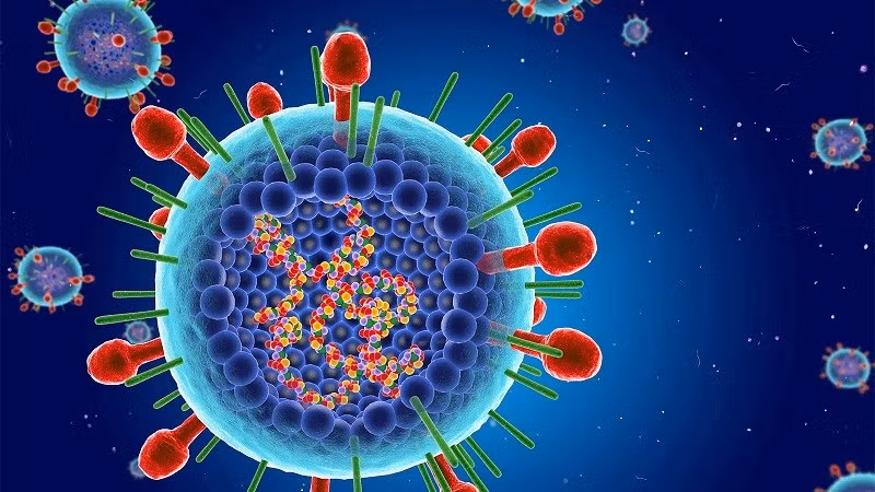 Le virus respiratoire syncytial (VRS) est la cause la plus courante des infections des voies respiratoires inférieures, responsable des éclosions annuelles qui commencent à la fin de l’automne jusqu’au début du printemps. Photo: medlatec.vn