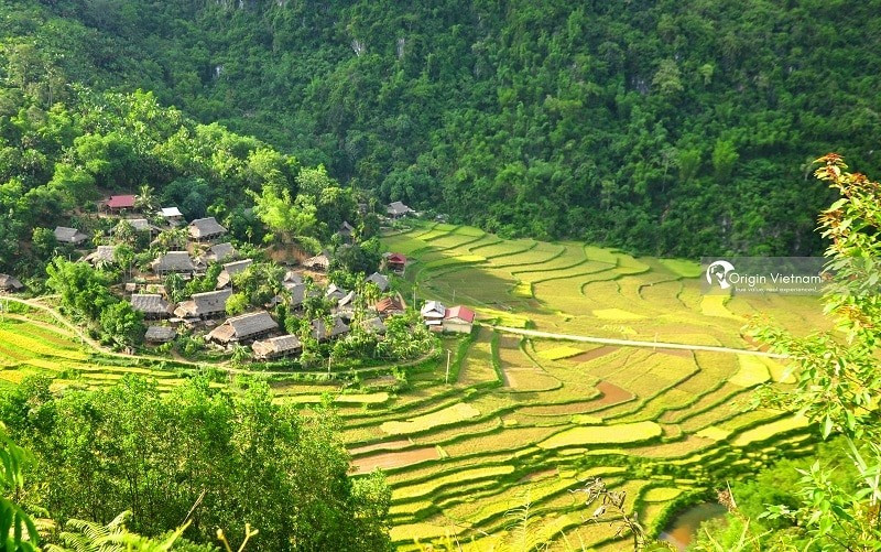 Situé au cœur de la réserve naturelle de Pu Luông, le village de Kho Muong émerveille par sa beauté préservée et son cadre paisible, où la vie rurale suit le rythme des saisons. Photo: Origin Vietnam