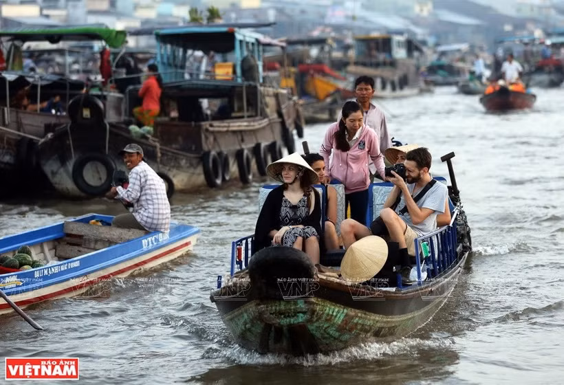 Le marché flottant de Cai Rang est une destination touristique majeure de la ville de Can Tho, où les touristes locaux et étrangers viennent découvrir la vie colorée sur le fleuve. Photo : VNA