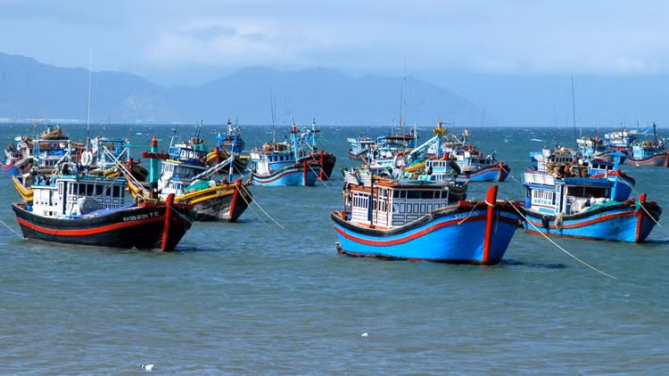Photo d'illustration: thuysanvietnam.com.vn