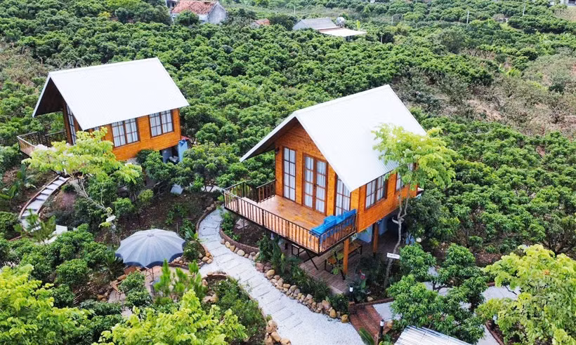 Windy Hills se prépare à accueillir ses visiteurs pour la saison des litchis. Photo : baobacgiang