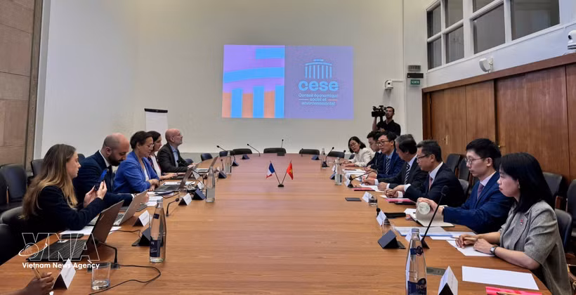 La délégation de la Commission des politiques et des stratégies du Comité central du Parti communiste du Vietnam lors de sa visite de travail au Conseil économique, social et environnemental (CESE), à Paris, le 6 juin. Photo : VNA