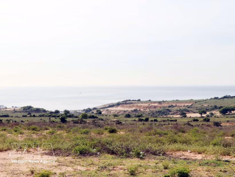 Le futur emplacement de la centrale nucléaire de Ninh Thuân 1, dans le village de Vinh Truong, commune de Phuoc Dinh. Photo : VNA