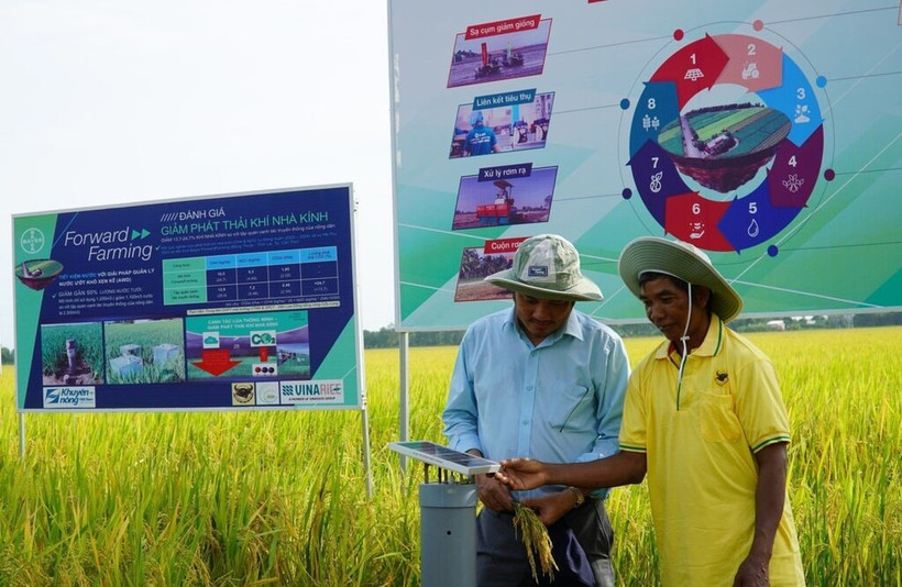 Un agriculteur de An Giang teste une station de capteurs d'irrigation économe en eau dans le cadre du programme d’un million d’hectares de riz de haute qualité à faibles émissions. Photo : VNA