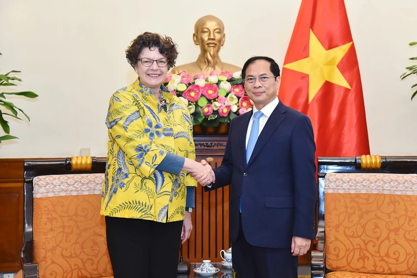 Le vice-Premier ministre et ministre des Affaires étrangères Bui Thanh Son serre la main de Hanoi l’ambassadrice d’Allemagne au Vietnam Helga Margarete, à Hanoi, le 24 février. Photo: VNA