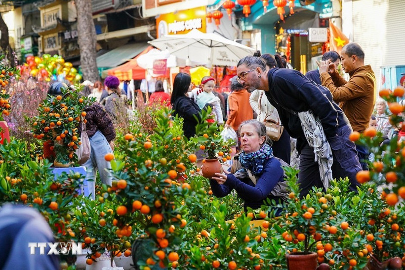 Deux touristes étrangers au marché aux fleurs de Hàng Luoc, à Hanoi, lors du Têt du Cheval 2026. Photo: VNA