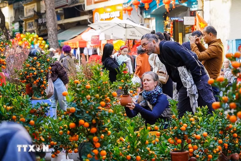 Deux touristes étrangers au marché aux fleurs de Hàng Luoc, à Hanoi, lors du Têt du Cheval 2026. Photo: VNA