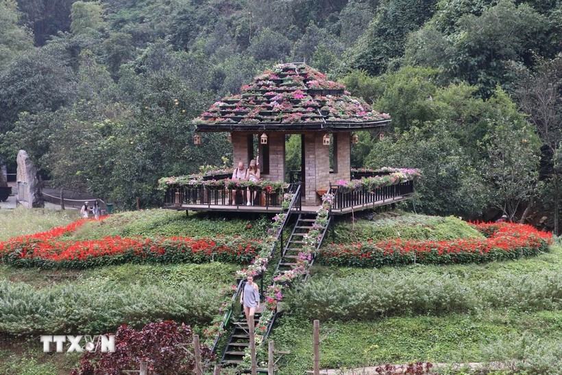 Plus de 30 variétés de fleurs différentes sont plantées dans la zone écotouristique de Thung Nham dans la province de Ninh Binh. Photo : VNA