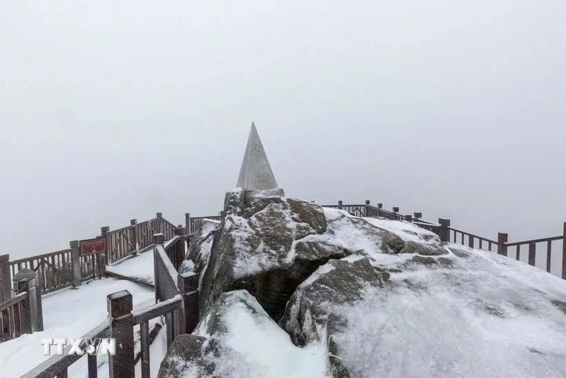 La neige recouvre le sommet du mont Fansipan le 26 janvier, deux jours avant le Nouvel An lunaire 2025. Photo : VNA