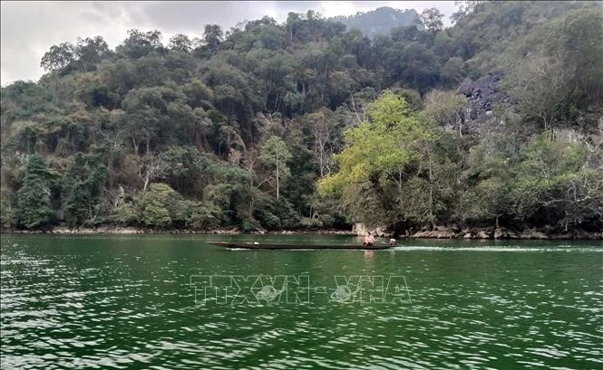 Le parc national de Ba Bê, dans la province montagneuse de Bac Kan (Nord), abrite une biodiversité extrêmement riche et plus de 10.000 ha d'étendues d'eau. Photo: VNA