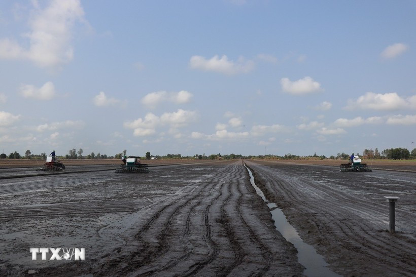 Le secteur agricole exhorte les agriculteurs à ne planter des cultures que lorsqu'un approvisionnement suffisant en eau est garanti. Photo: VNA