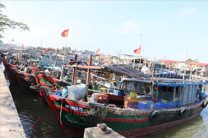 Bateaux de pêche mouillant dans un port de pêche de Hai Phong. Photo : VNA