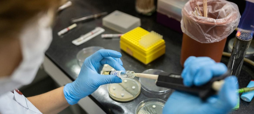 Des tests de résistance aux antimicrobiens sont effectués dans un laboratoire situé à Buenos Aires, en Argentine. Photo: OMS