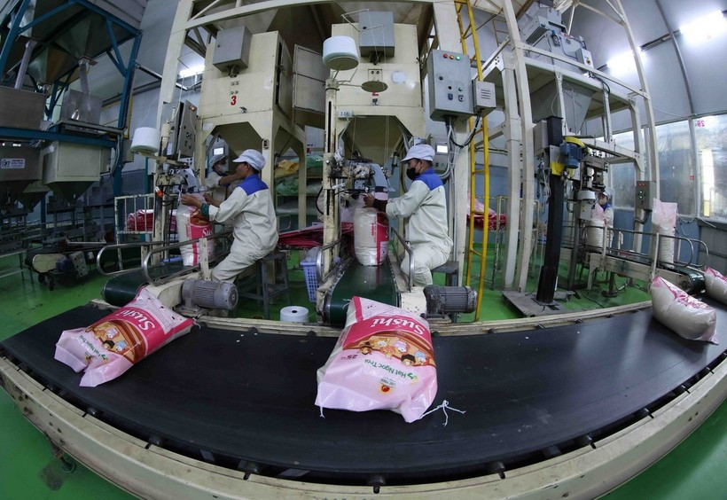 Le Sénégal est un marché potentiel pour les exportations de riz du Vietnam. Photo: VNA