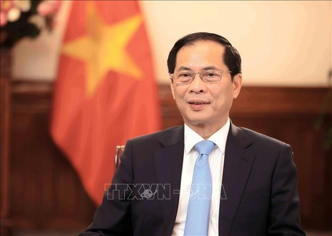 Le vice-Premier ministre et ministre des Affaires étrangères Bui Thanh Son. Photo : VNA