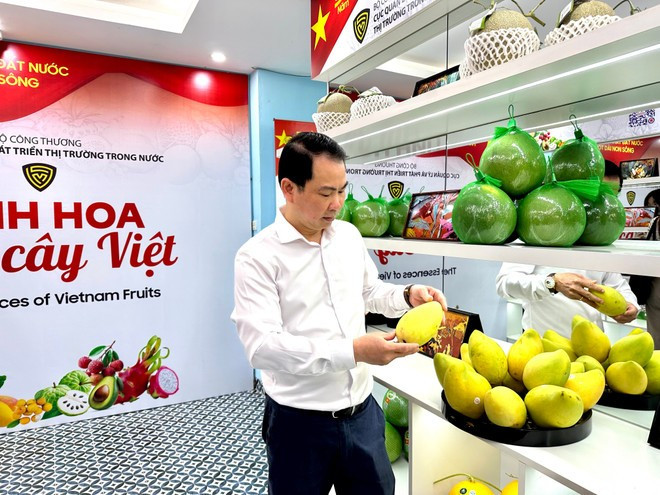 L'événement «Quintessence des fruits vietnamiens» met en avant les fruits typiques des différentes régions du Vietnam. Photo : VNA