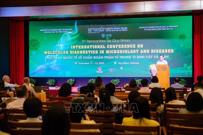Une vision de la Conférence internationale sur le diagnostic moléculaire en microbiologie et maladies. Photo : VNA