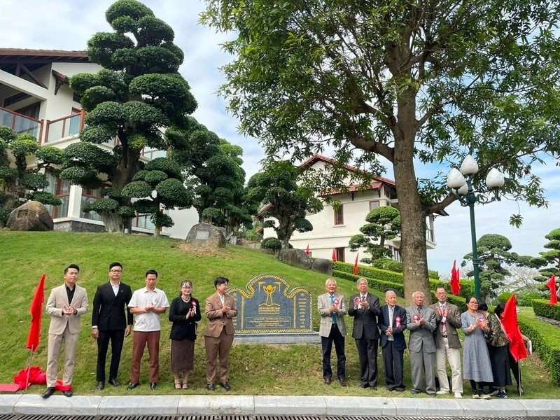 La cérémonie de reconnaissance de 12 arbres anciens comme arbres patrimoniaux du Viêt Nam s'est déroulée dans le quartier de Vu Ninh, province de Bac Ninh. Photos : gracieuseté de la province de Bac Ninh