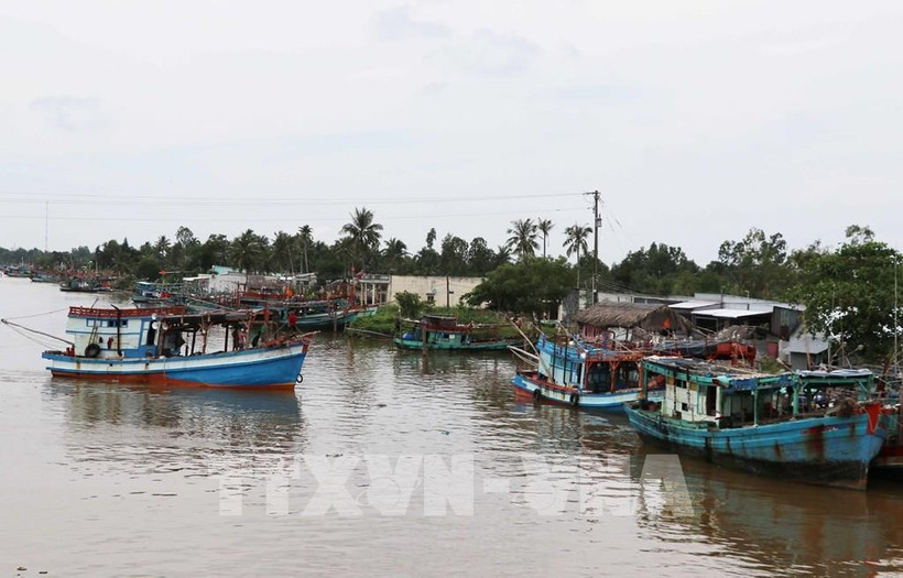 La gestion et la surveillance des bateaux de pêche se renforcent dans la province de Cà Mau. Photo : VNA