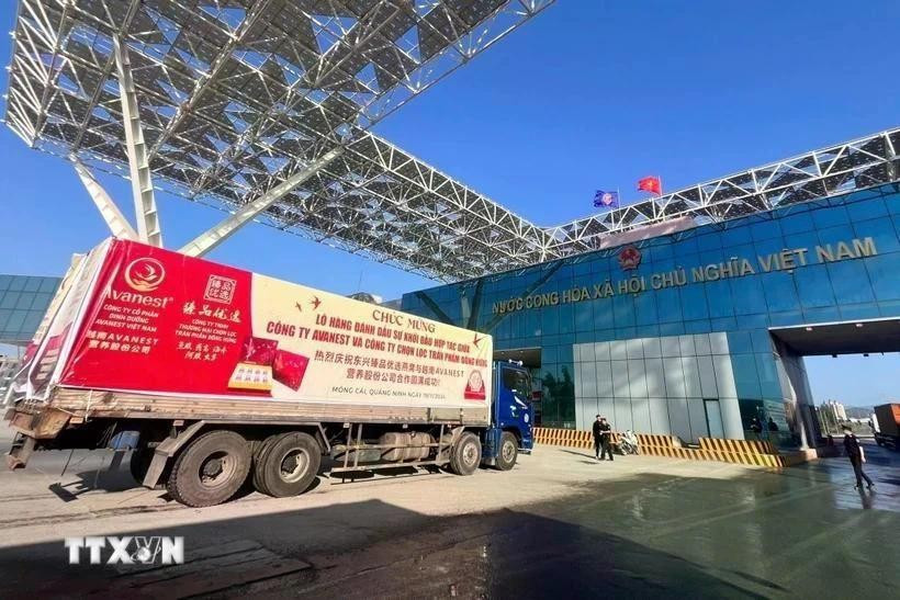 Premier chargement de nids d'oiseaux exportés vers la Chine via le poste-frontière du pont Bac Luân II à Mong Cai, province de Quang Ninh. Photo : VNA