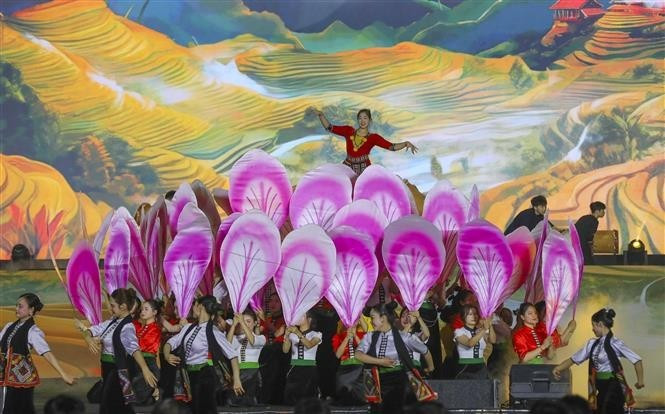 Programme artistique ouvrant la Fête des fleurs de bauhinie 2025. Photo: VNA