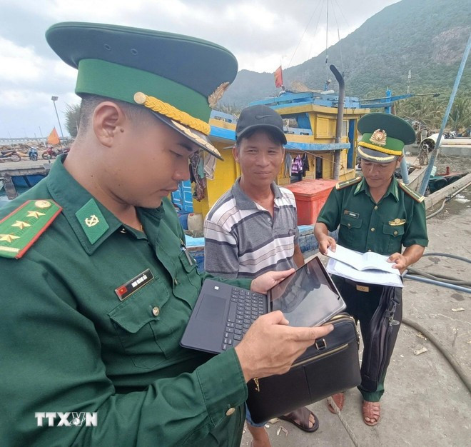 Les agents du poste de garde-frontière de Côn Dao vérifient les documents des bateaux de pêche pour détecter les violations relatives à la pêche INN sur le système logiciel national du port de Bên Dâm, à Côn Dao. Photo : VNA