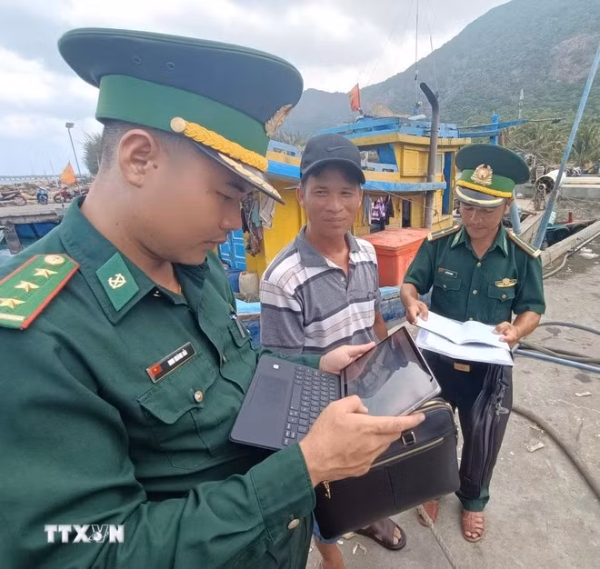 Les agents du poste de garde-frontière de Côn Dao vérifient les documents des bateaux de pêche pour détecter les violations relatives à la pêche INN sur le système logiciel national du port de Bên Dâm, à Côn Dao. Photo : VNA