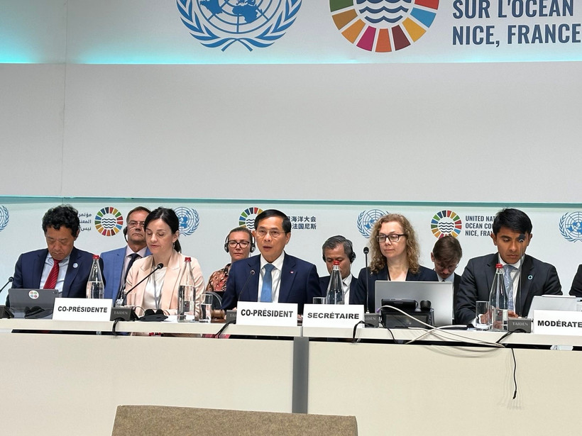 Le vice-Premier ministre vietnamien et ministre des Affaires étrangères du Vietnam, Bui Thanh Son (centre, premier rang) lors de l’événement, à Nice, en France, le 11 juin. Photo : VNA