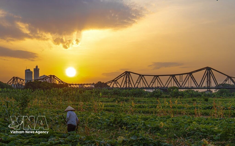 Le pont Long Biên au coucher du soleil. Photo: VNA
