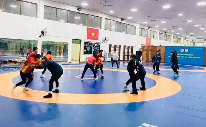 Les jeunes athlètes du pays hôte s’entraînent pour les Championnats d’Asie de lutte U17 et U23. Photo : thethao.sggp.org.vn